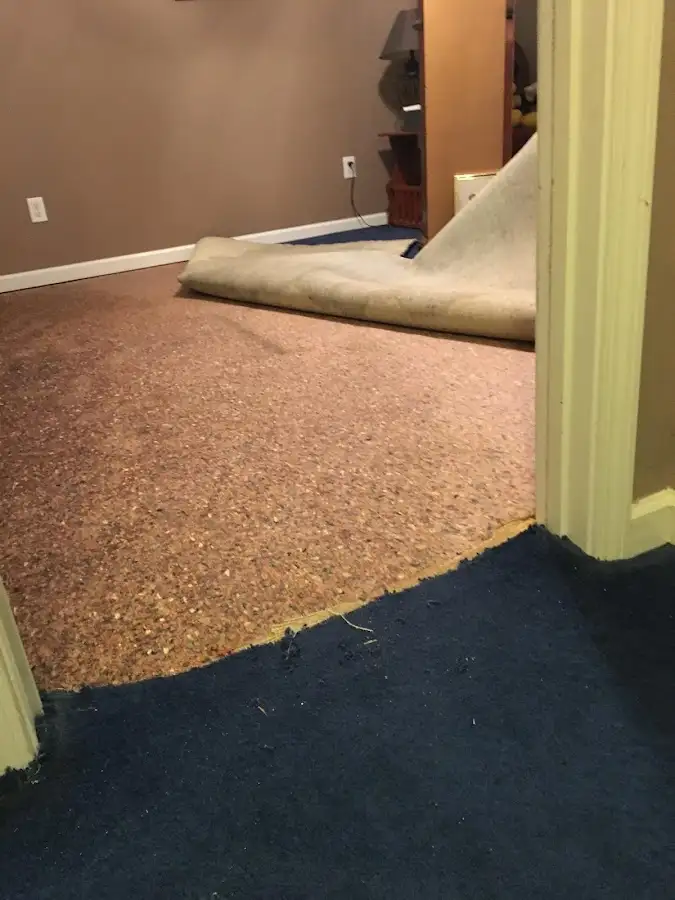 Carpet pad removal revealing water damage during Water Mitigation Services in Reno
