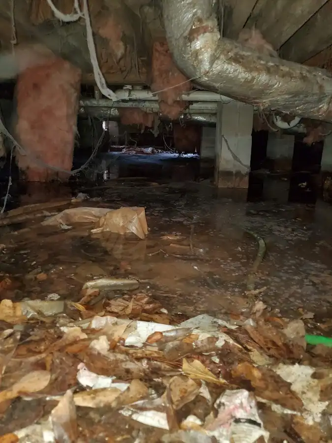Crawl space flood assessment for Leak Detection & Repair in Reno